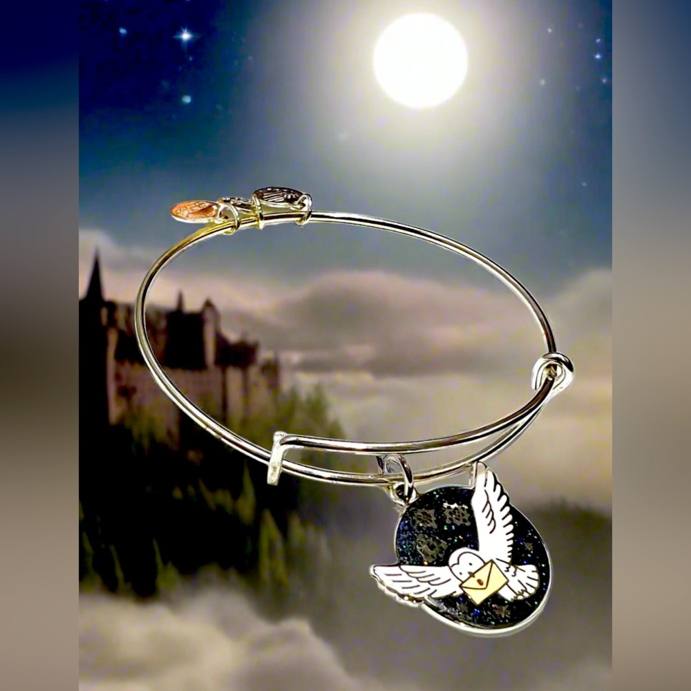 Alex and Ani - Harry Potter’s Owl Post Charm Bangle Bracelet